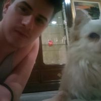 I nostri amici a 4 zampe - 2