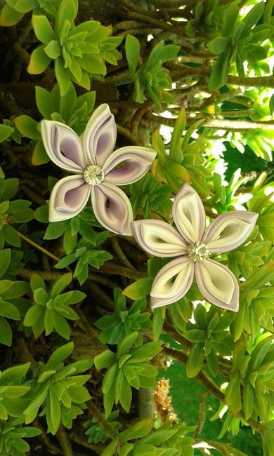 Fiori bianchi -lilla