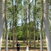 location per foto caserta