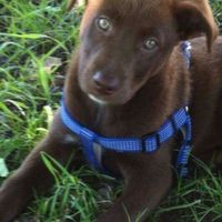 Il più bel regalo ricevuto 💝 - 1