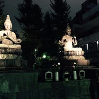 Il sogno diventa realtà japan - 9