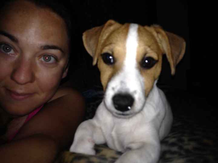 Too cute: i vostri amici animali - 1