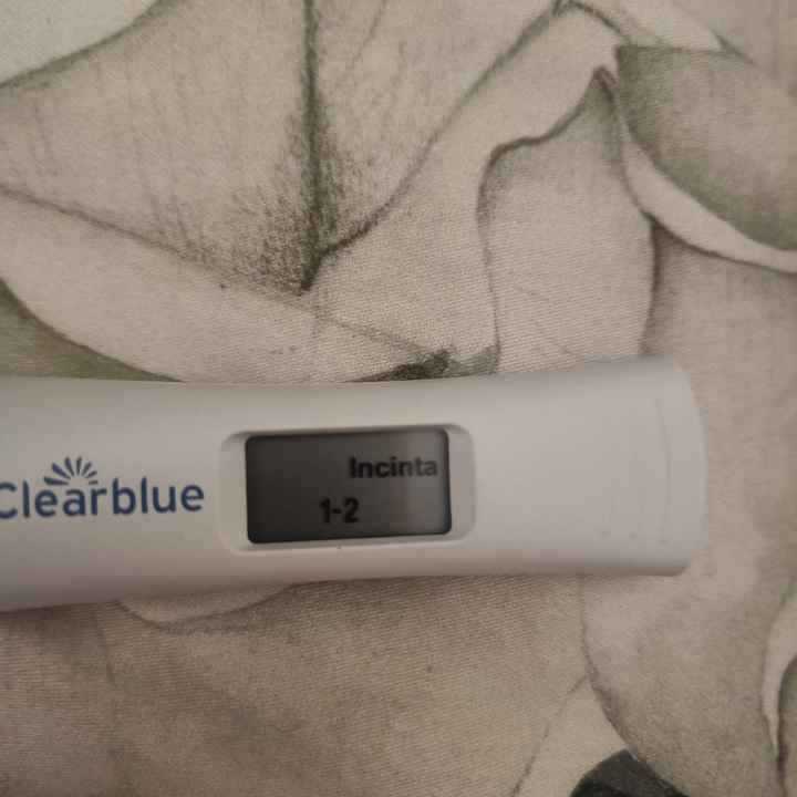 Per chi non le aspetta Luglio, Agosto Settembre e Ottobre 2024🍀🐞 - 1