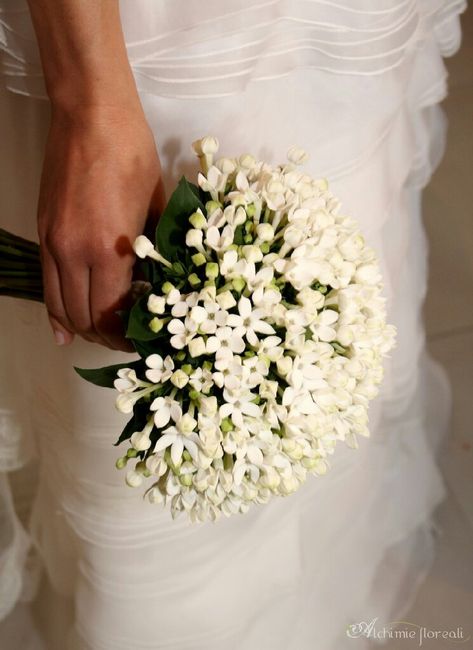 Quale bouquet? ?? aiutooo - 1