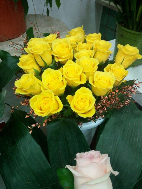 Fiori - 1