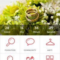 Quanto manca alle vostre nozze? - 1