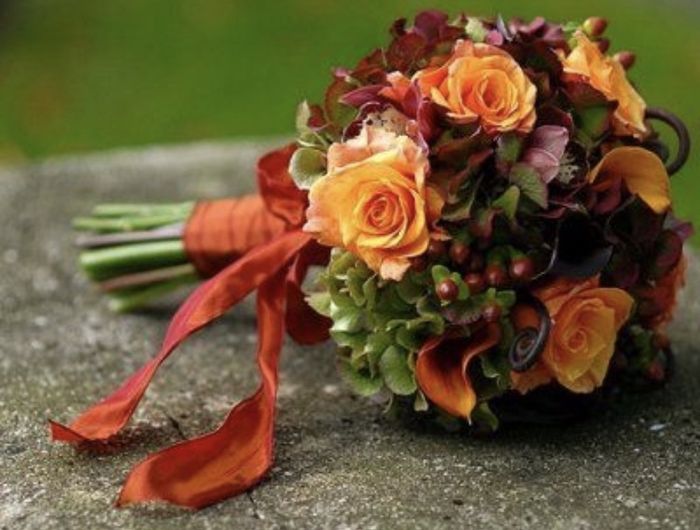 Tema autunno ππππ· 3