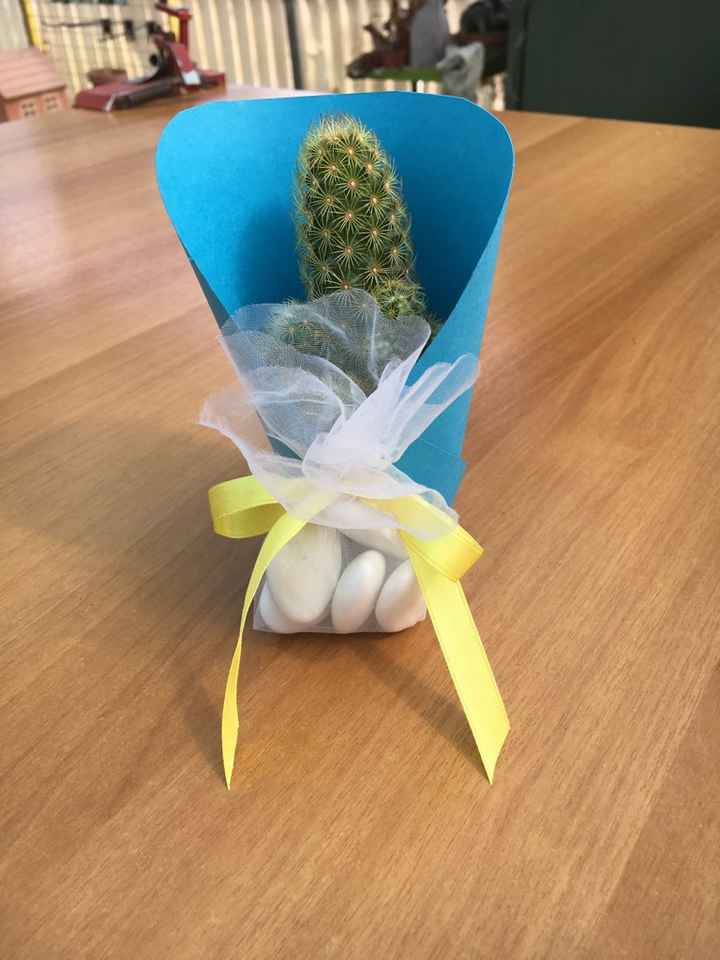 Pianta grassa bomboniera - 5