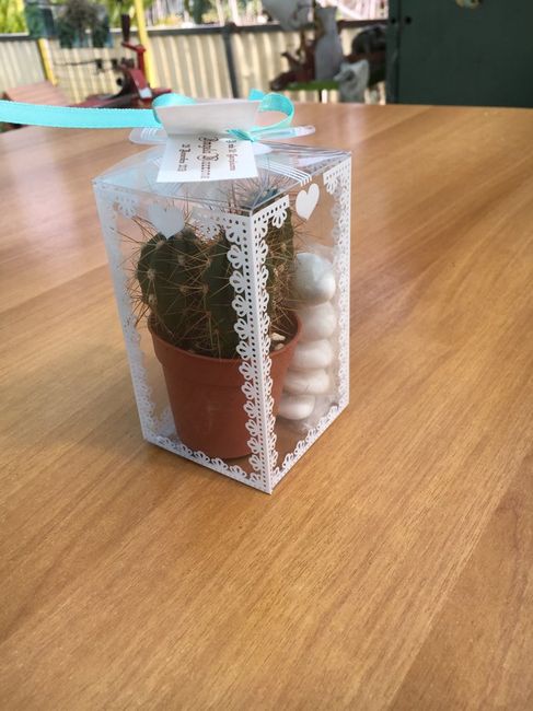 Pianta grassa bomboniera - 3