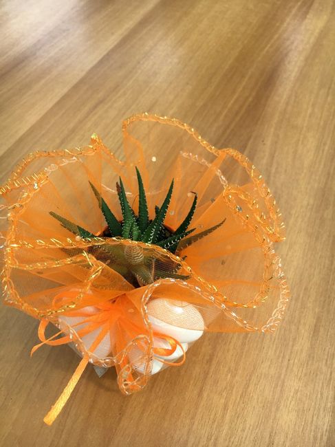 Pianta grassa bomboniera - 4