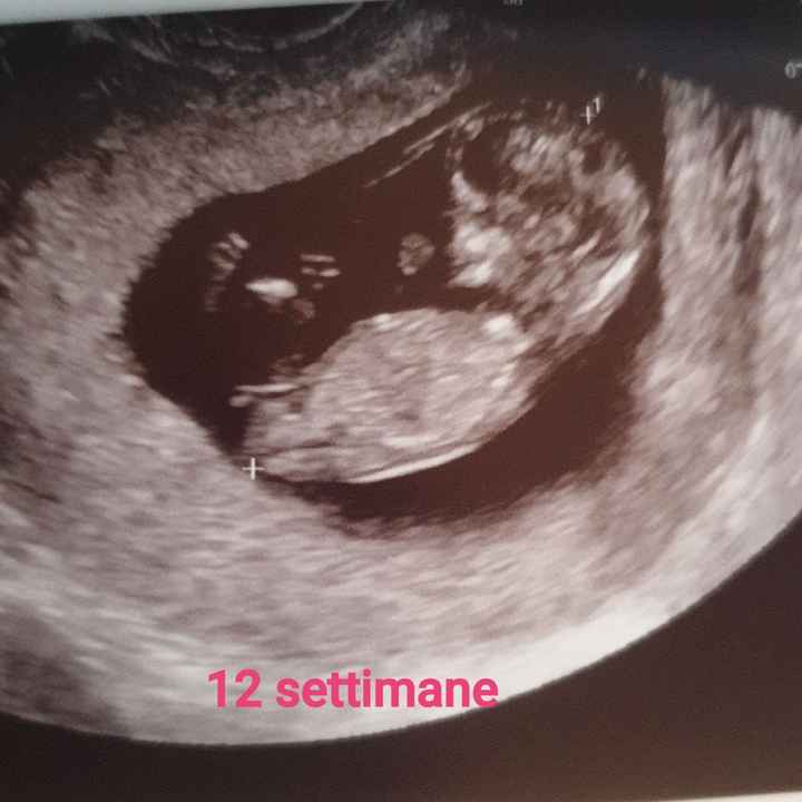 Nub theory curiosità 5