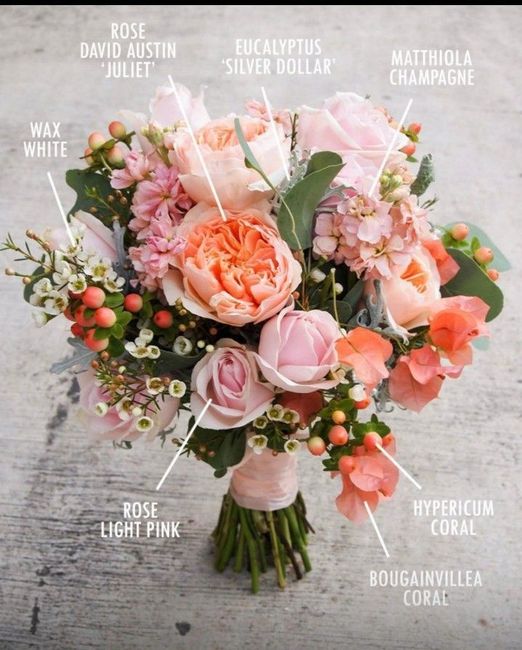 Tema mare corallo - 1