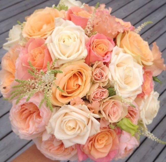 Tema mare corallo - 3