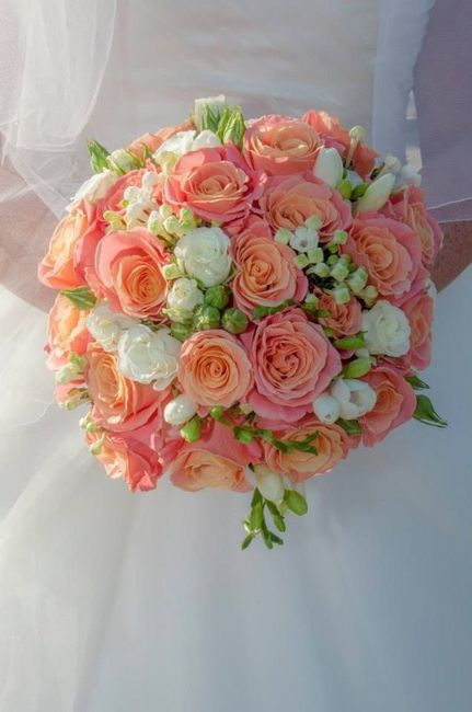 Tema mare corallo - 4