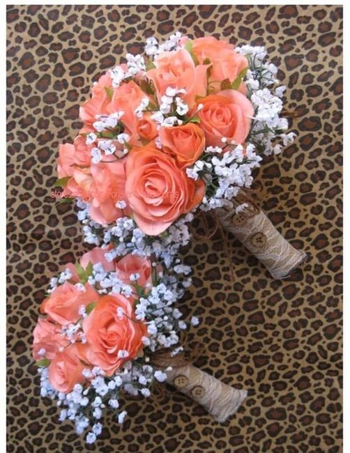 Tema mare corallo - 7