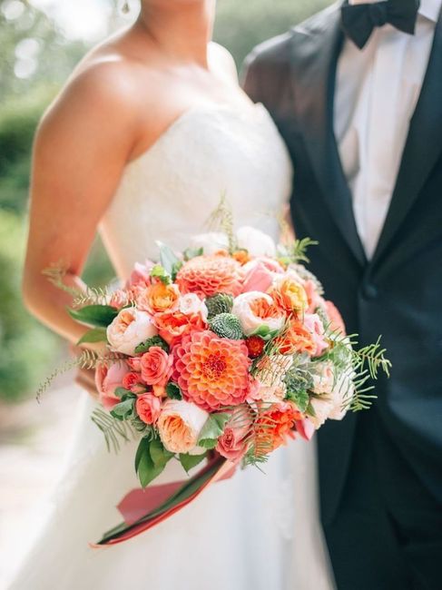 Tema mare corallo - 12