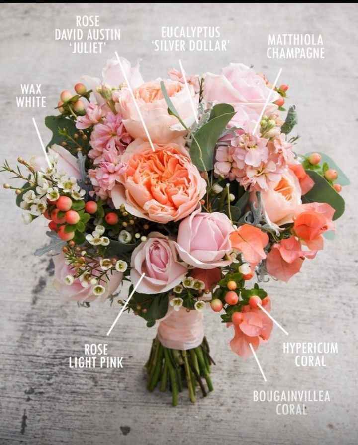 Tema mare corallo - 1