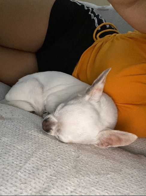 Future mamme marzo 2023 - 1