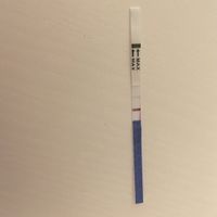 Aiutate la frettolosa dei test - 2