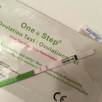  Aiuto per stik canadesi - 1