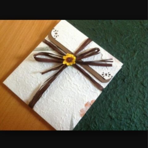 Rosa cipria <img class=