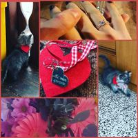 Quando hai capito che era l'uomo della tua vita? - 1