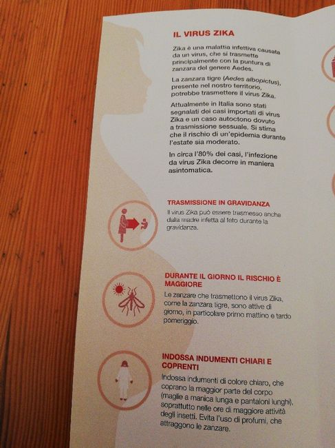 Ansia per virus zika - 1