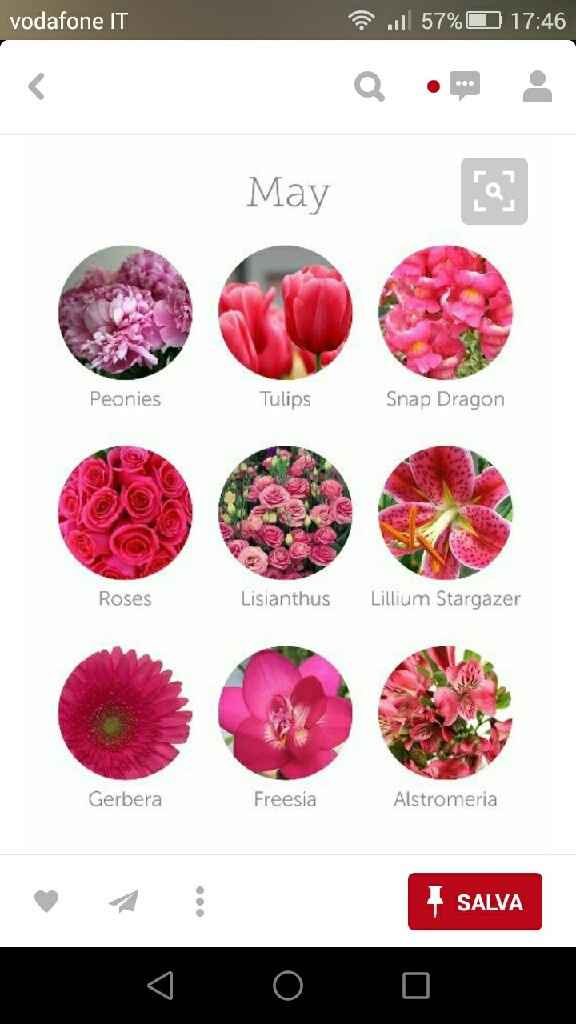 Fiori mese di maggio - 1