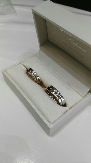 Fedi bicolore... - 1