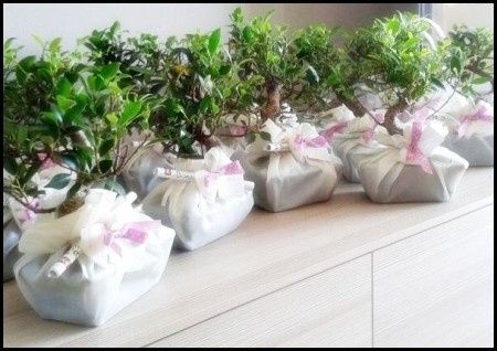 Bomboniere gastronomiche - 5