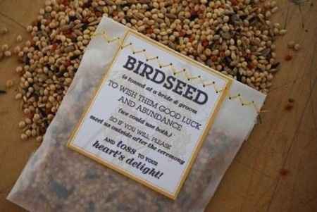 Semini per uccellini al posto del riso - 2