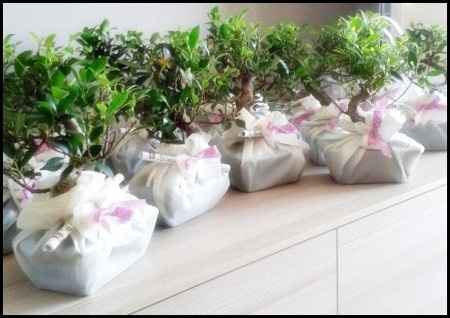 Bomboniere gastronomiche - 5