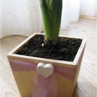 Bomboniere gastronomiche - 3