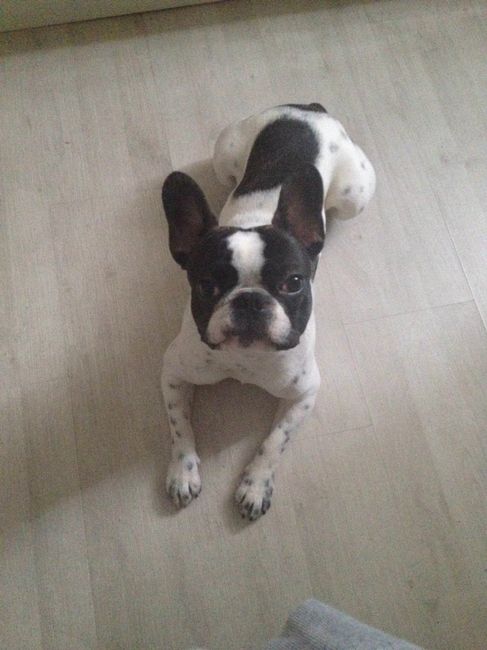 Ci sono bulletti??? - 1