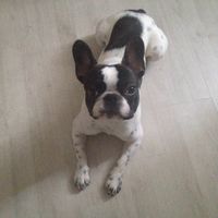 Ci sono bulletti??? - 1