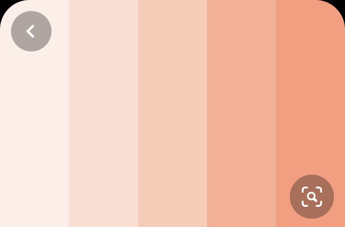 Palette matrimonio - 2