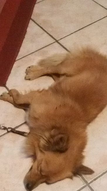 Amici pelosi *-* - 2