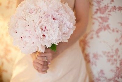 Tema La vie En Rose 2