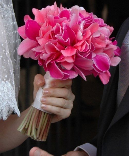 bouquet ciclamino