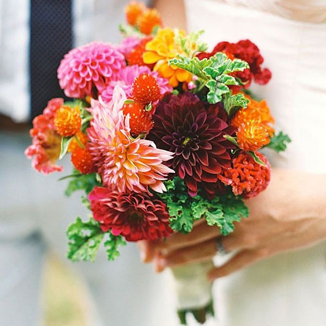 bouquet zinnie