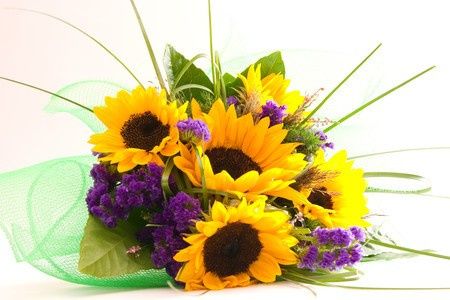 GIRASOLE