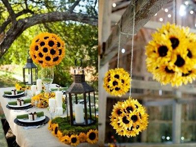 GIRASOLE