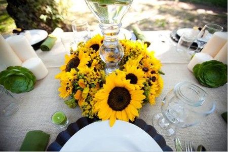 GIRASOLE