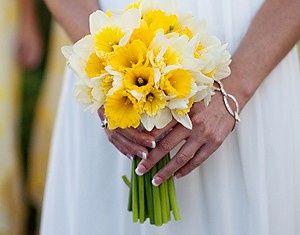 Bouquet di narcisi