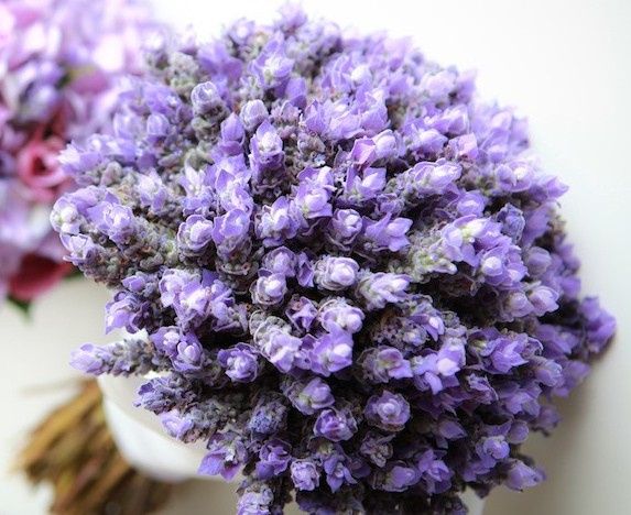 Bouquet di Lavanda