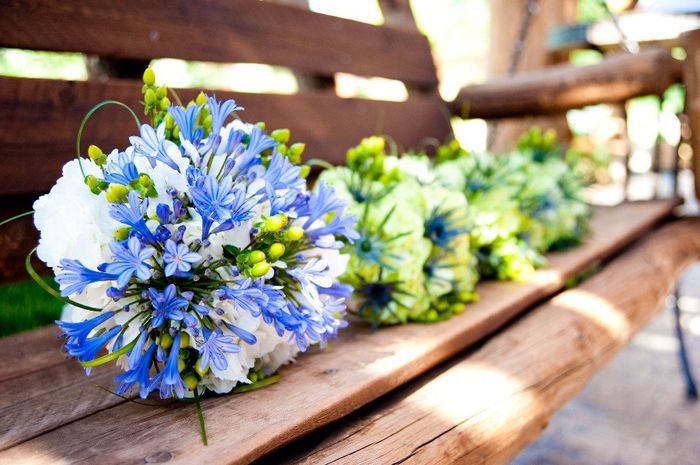 Bouquet di Agapanto