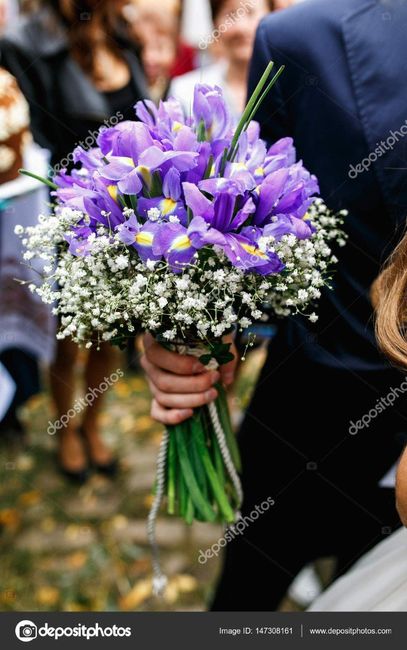 Bouquet di Croco