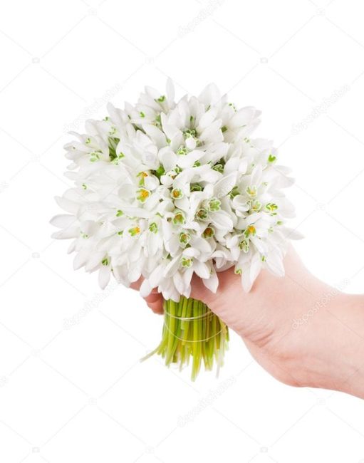 Bouquet di Bucaneve