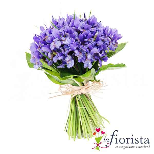 Bouquet di iris