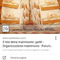 Cerco una ragazza ....help me! - 1